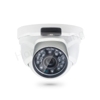 Home-Locking ip-camera dome met SONY ship  POE 3.0MP. C-1219